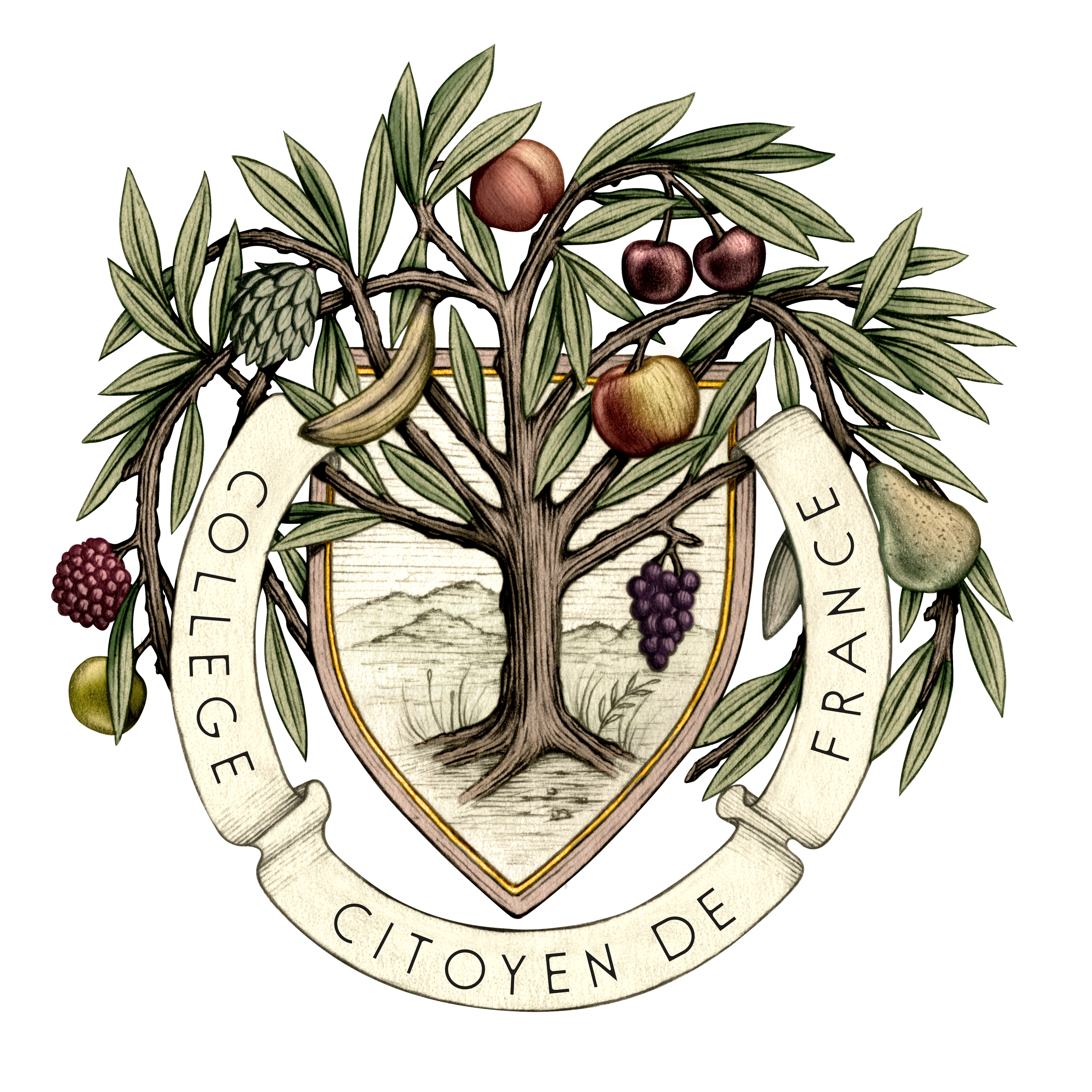 Collège citoyen de France